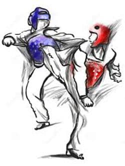 sumbaes tae kwon do sumbaes tae kwon do